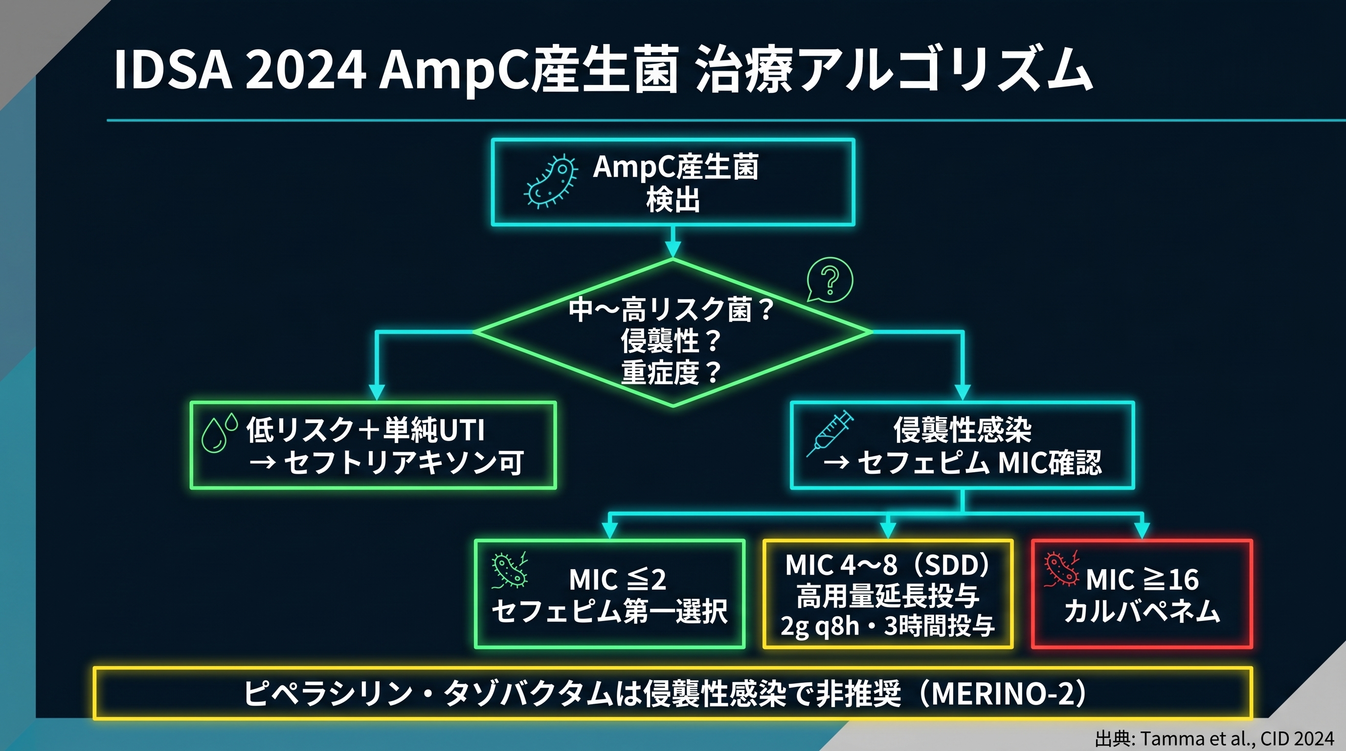 IDSA 2024 AmpC治療アルゴリズム