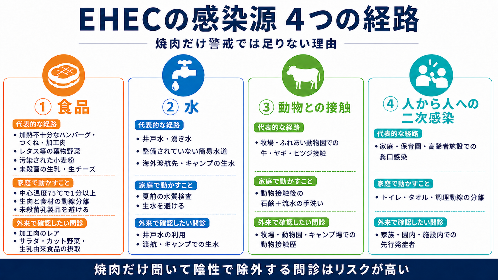 EHEC感染源の4つの経路：① 食品（加工肉・葉物野菜・小麦粉・未殺菌の生乳生チーズ）／② 水（井戸水・湧き水・キャンプの生水）／③ 動物との接触（牧場・ふれあい動物園）／④ 人から人への二次感染（家庭・保育園・高齢者施設）。各経路で家庭で動かすことと外来で確認したい問診を整理。焼肉だけ聞いて陰性で除外する問診はリスクが高い