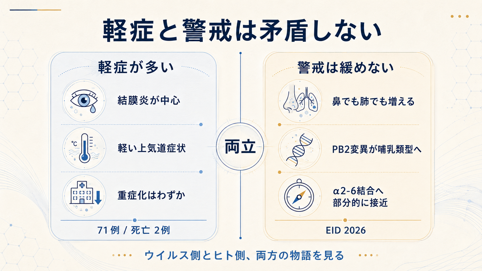 軽症と警戒は矛盾しない概念図。左に「軽症が多い」（結膜炎中心・軽い上気道症状・重症化はわずか／71例・死亡2例）、右に「警戒は緩めない」（鼻でも肺でも増える・PB2変異が哺乳類型へ・α2-6結合へ部分的に接近／EID 2026）、中央に「両立」、下部に「ウイルス側とヒト側、両方の物語を見る」。