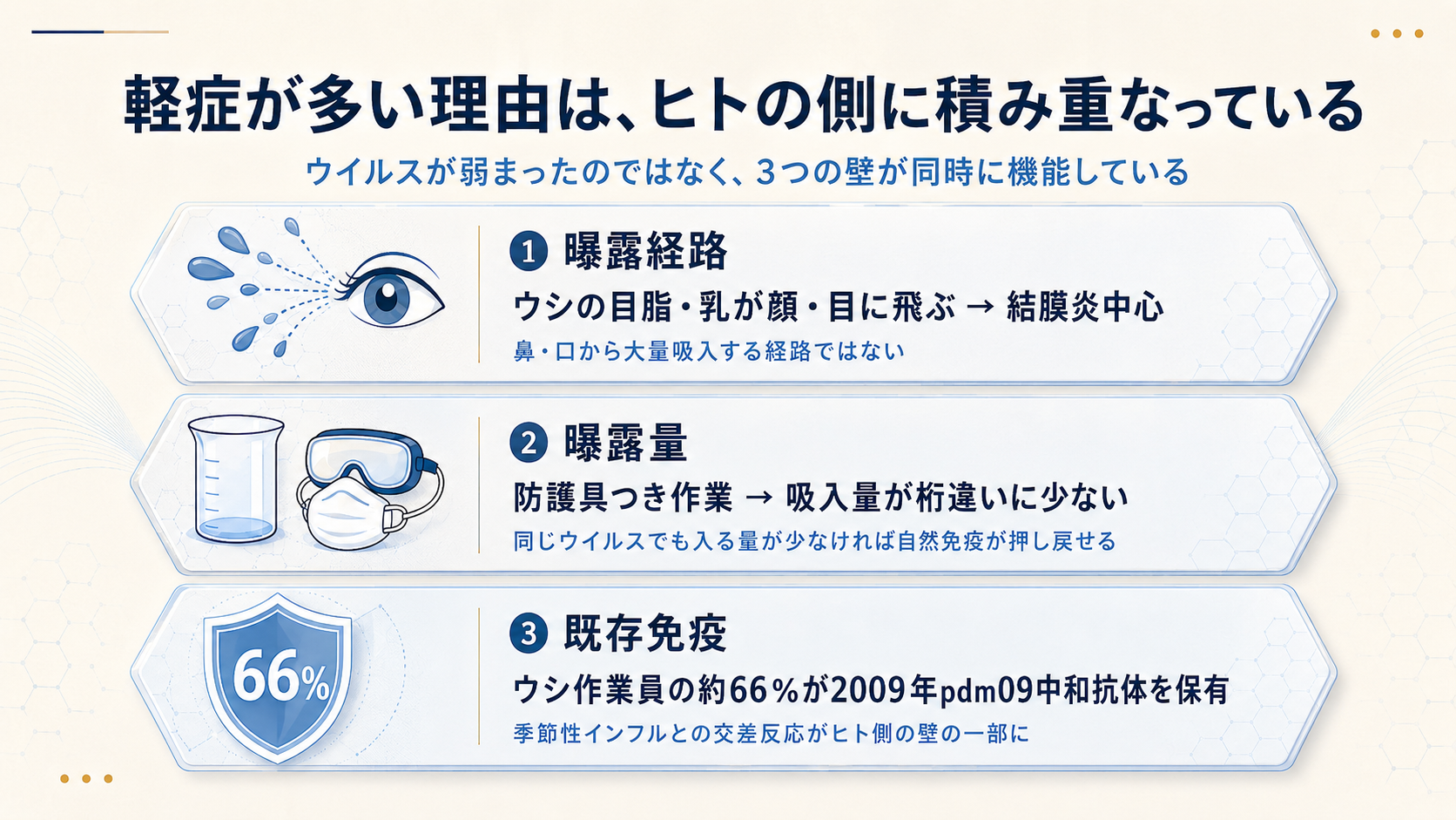 軽症が多い理由は、ヒトの側に積み重なっているという3層図。①曝露経路（ウシの目脂・乳が顔・目に飛ぶ→結膜炎中心、鼻・口から大量吸入する経路ではない）、②曝露量（防護具つき作業→吸入量が桁違いに少ない、同じウイルスでも入る量が少なければ自然免疫が押し戻せる）、③既存免疫（ウシ作業員の約66%が2009年pdm09中和抗体を保有、季節性インフルとの交差反応がヒト側の壁の一部に）。右脇に「ウイルス側にも病原性低下の余地は残るが、説明力の中心はヒトの側」。