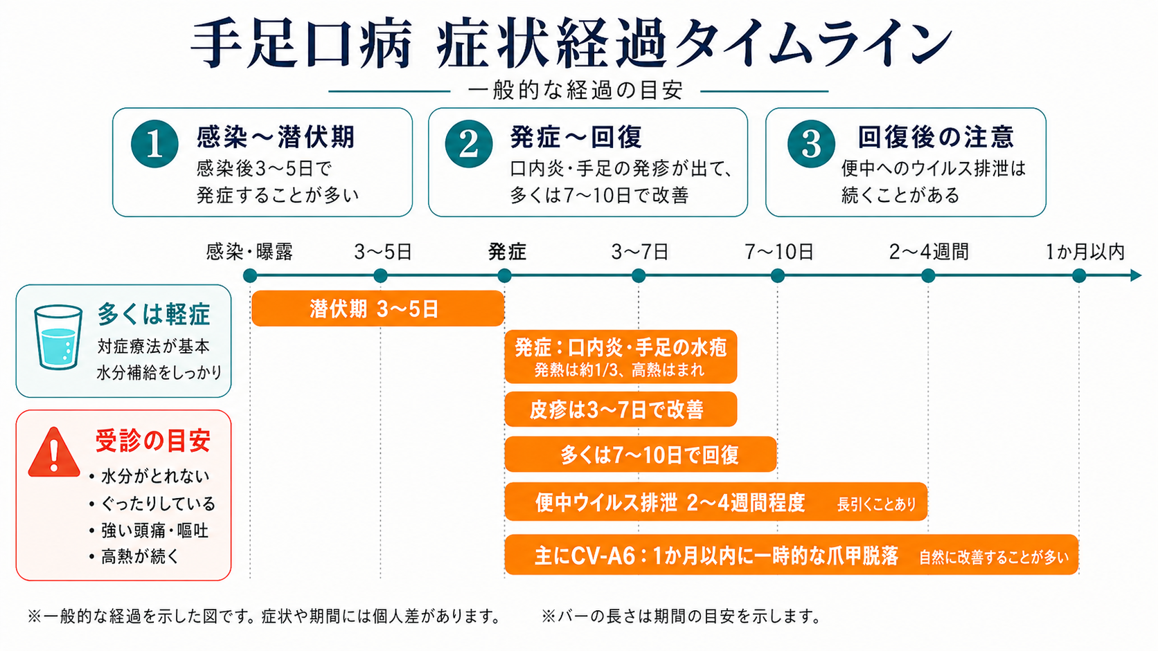 手足口病の症状経過タイムライン：感染後3〜5日で発症→口内炎・手足の水疱・発熱は約1/3で高熱はまれ→皮疹は3〜7日で改善→多くは7〜10日で回復→便中ウイルス排泄は2〜4週間程度（長引くこともあり）→主にCV-A6では1か月以内に一時的な爪甲脱落が起こる場合あり