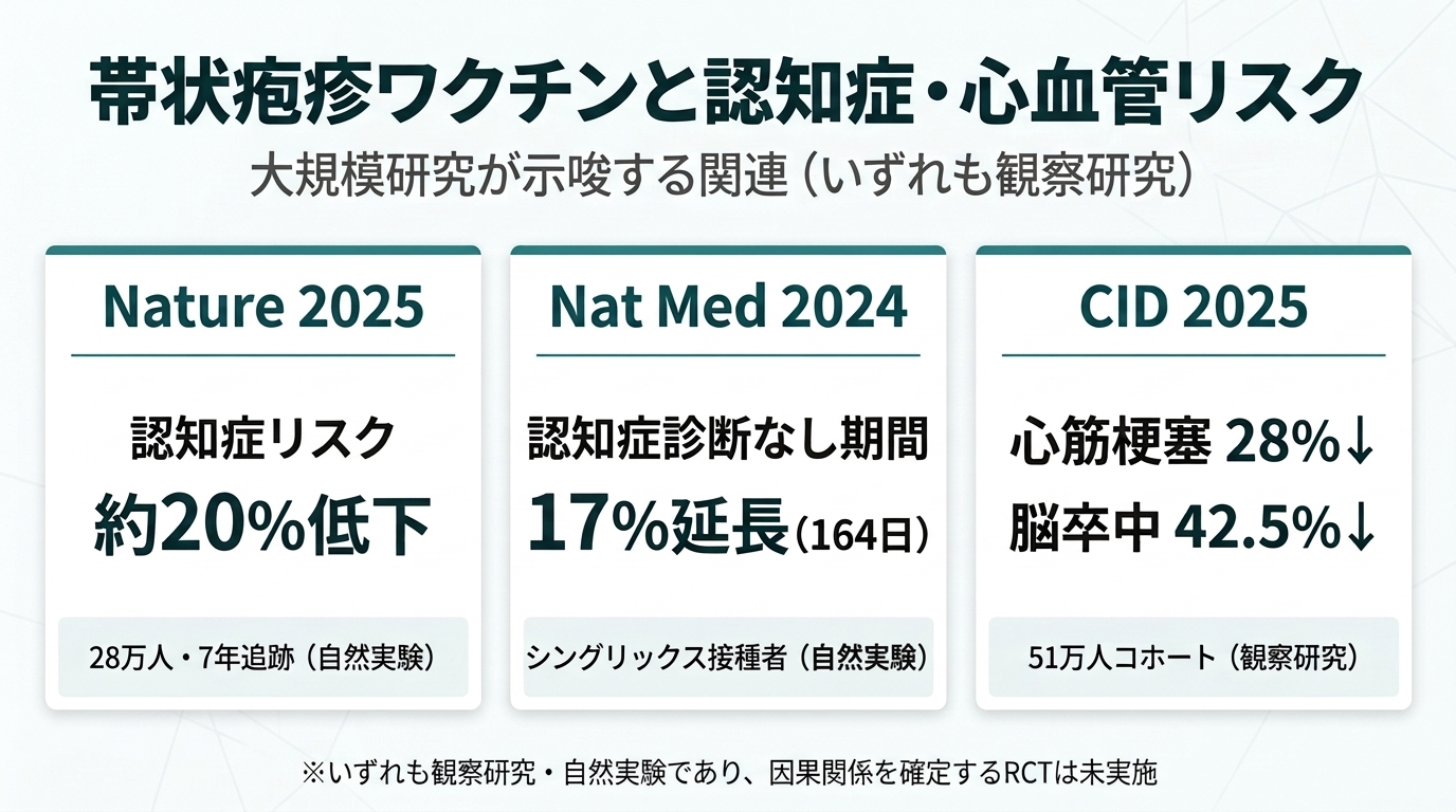 帯状疱疹ワクチンと認知症・心血管リスクに関する3つの大規模研究の概要。Nature 2025で認知症リスク約20%低下、Nat Med 2024で認知症診断なし期間17%延長、CID 2025で心筋梗塞28%・脳卒中42.5%低下との関連が示唆されている（いずれも観察研究）
