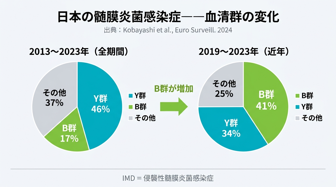 日本の髄膜炎菌感染症——血清群の変化。左：2013〜2023年全期間はY群46%が最多。右：2019〜2023年近年はB群が41%に増加。