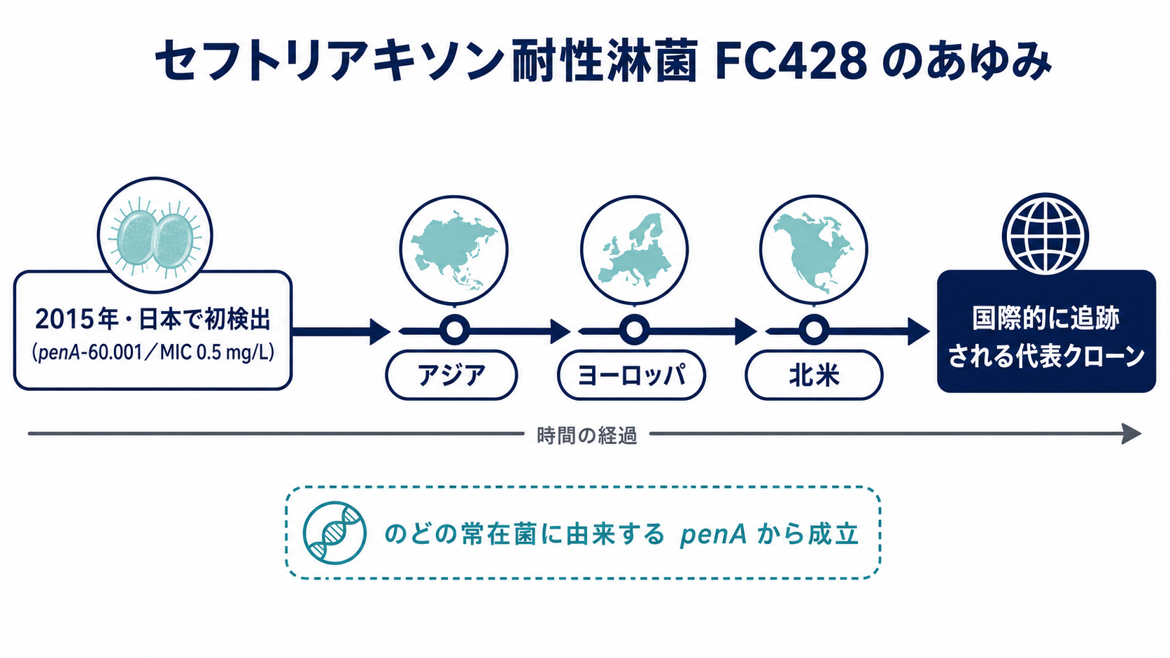 セフトリアキソン耐性淋菌FC428のタイムライン。2015年に日本で初検出され（モザイク型penA-60.001・セフトリアキソンMIC 0.5 mg/L）、その後アジア・ヨーロッパ・北米など複数地域で検出され、国際的に追跡される代表クローンになった経過を時系列で示す